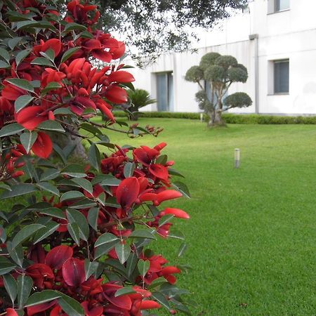 Fiore Dell'Etna Leilighet Santa Venerina Eksteriør bilde